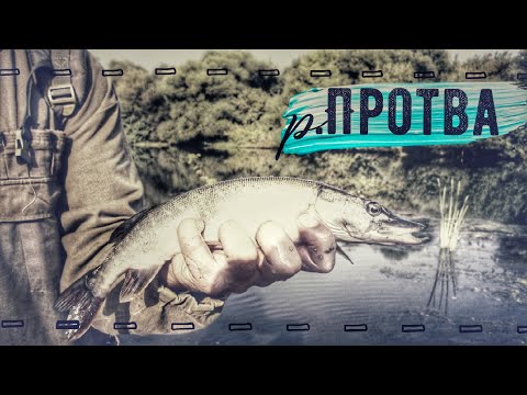 Видео: ✅Спиннинговая рыбалка на р.Протва 🔊Калужская область