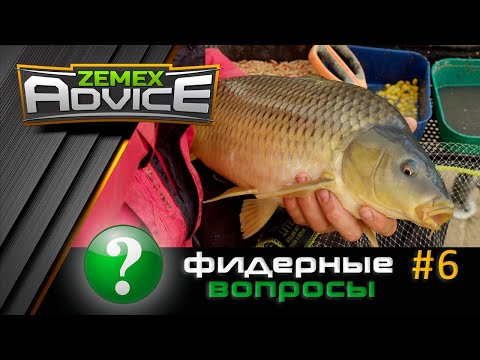 Видео: ВСЁ О ФИДЕРЕ / ОТВЕТЫ НА ВОПРОСЫ / ZEMEX Advice
