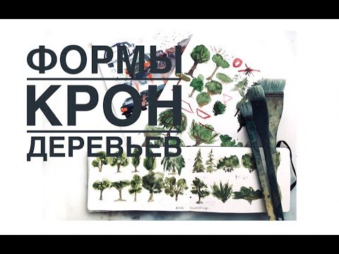 Видео: деревья: как рисовать формы крон