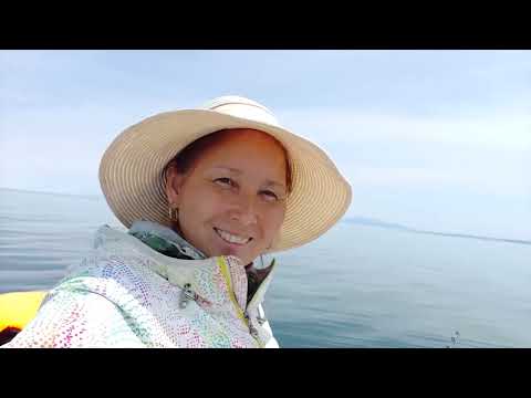 Видео: Рыбалка без наживки. Клюет на каждом забросе.