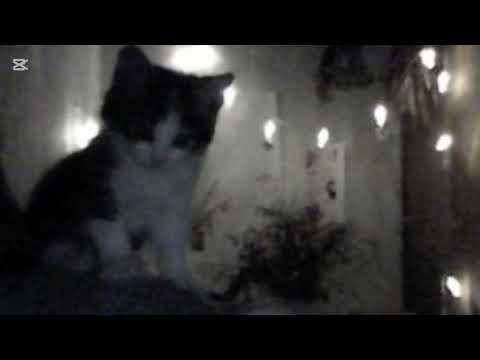 Видео: ♱︎милая внешность♱︎    очень мощный (2000+ аффирмаций) саблиминал