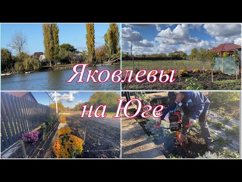 Видео: 707ч🏡29.10.25-Орех забрали//Новый забор//Новая дорожка//Придомовая//Лиман//