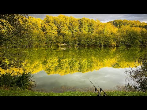 Видео: Carpfishing «Горное Озеро»