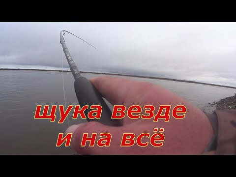 Видео: Рыбалка на Оби .Щука везде и на всё. Ловля окуня с пристани.