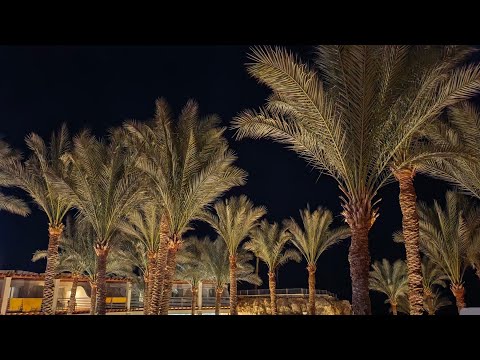 Видео: Reef oasis beach hotel, территория, бассейны, море 