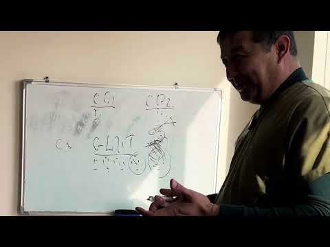 Видео: Кандли диабет(сахарный диабет)ни даволаймиз деган махсулотлар сири нимада ,качон ва каерда алданамиз