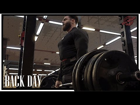 Видео: ТРЕНИРОВКА СПИНЫ. РОЗЫГРЫШ ПРИЗОВ.