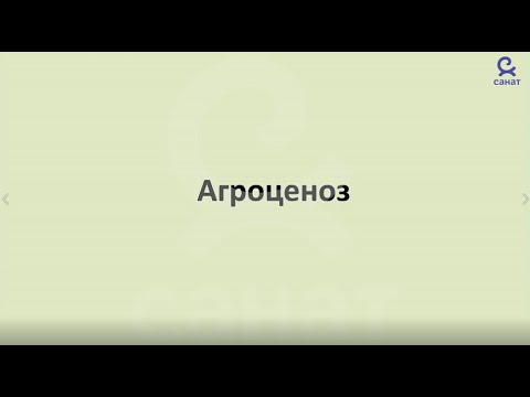 Видео: Биология 9 класс 53 сабак