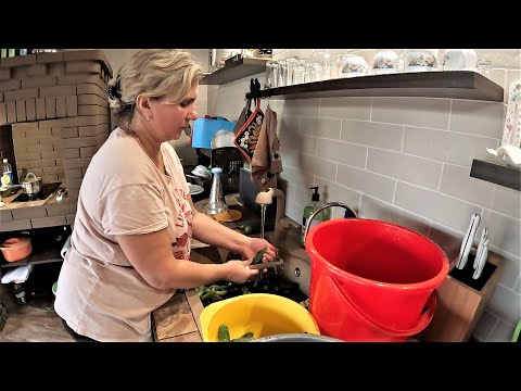 Видео: МАРИНУЕМ ОГУРЦЫ/ГОТОВИМ ЖУЛЬЕН/ЧТО ТВОРИТСЯ С ПОГОДОЙ И НА ОГОРОДЕ?!