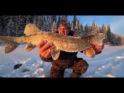 Видео: РЫБИНСКОЕ ВОДОХРАНИЛИЩЕ! РАЙ ДЛЯ РЫБАКА \ ПОЛНАЯ ВЕРСИЯ!
