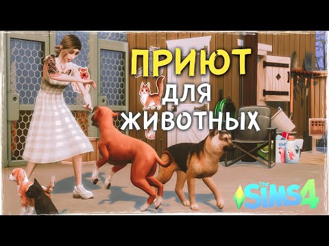 Видео: ПРИЮТ ДЛЯ ЖИВОТНЫХ - Cтроительство the Sims 4