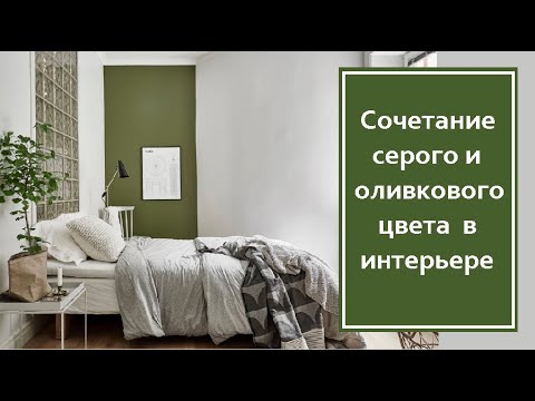 Видео: Сочетание серого и оливкового цвета в интерьере