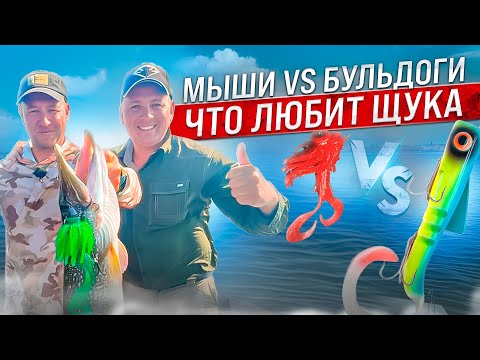 Видео: КАК ПОЙМАТЬ ТРОФЕЙНУЮ ЩУКУ НА СПИННИНГ ?