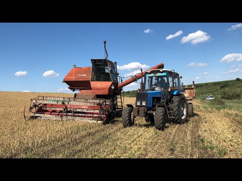 Видео: УБОРКА ПШЕНИЦЫ ЛЕГЕНДАРНЫМ КОМБАЙНОМ НИВА СК-5 УРОЖАЙНОСТЬ 10 ц/га