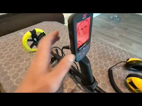 Видео: Minelab equinox 900 тесты на различные цели!