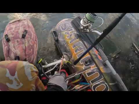 Видео: Не расслабляться ! Клюёт Судак !!!