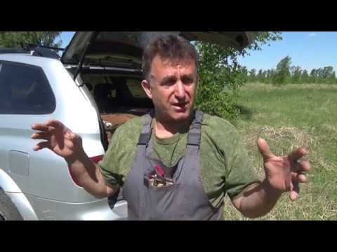Видео: Огромный рой первак, из ловушки в колоду.