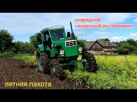 Видео: Летняя вспашка по траве трактором Т-40АМ