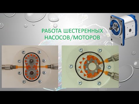 Видео: Шестеренный насос/мотор. Разбор на физической модели (Gear pump/motor on real model).