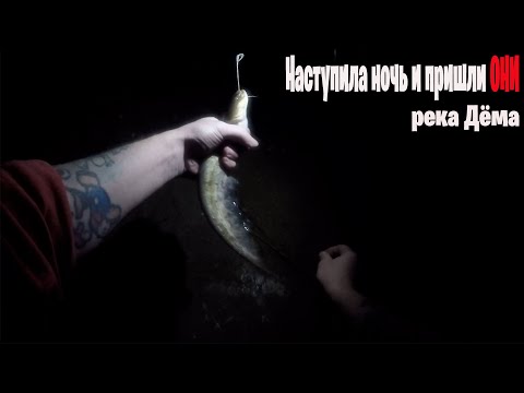 Видео: Рыбалка на реке Дёма vs Рыбалка на Оке - Где Лучше Ловить Сома?