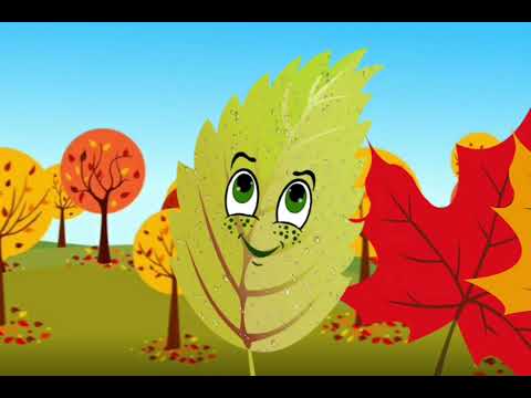 Видео: Заняття з розвитку мови ( середня група). Тема : " Осінь - чудова пора".