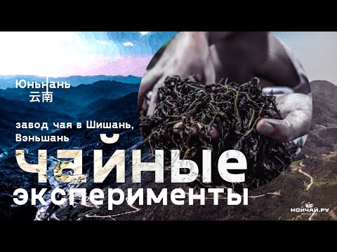 Видео: Юньнань. Эксперименты на заводе чая в Вэньшань.