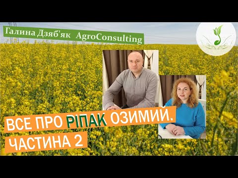 Видео: Урожайність ріпаку 6 т/га. Технологією вирощування ділиться Ярослав Бай. Весняно-літній період