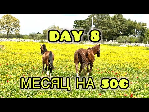 Видео: Пора идти в магазин 😅#финансы #живуна #экономлю #выживание