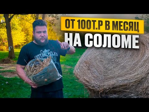 Видео: КАК ЗАРАБОТАТЬ НА СОЛОМЕ?/КУДА ЕЕ ПРОДАТЬ?
