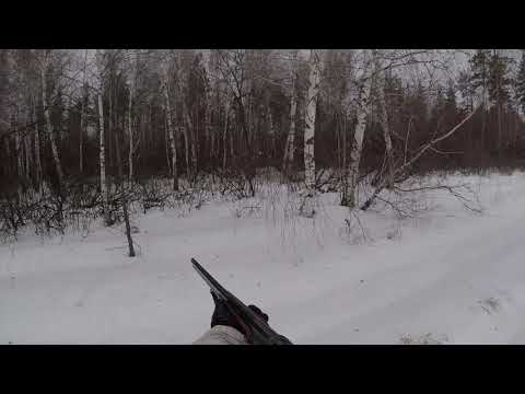 Видео: бывает и такое