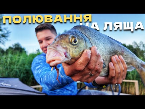 Видео: ⚠️ТУТ ПЛАВАЮТЬ ВЕЛЕТЕНСЬКІ ЛЯЩІ‼️ РИБАЛКА НА ТРОФЕЙНОГО ЛЯЩА🎣 ФІДЕР НА РІЧЦІ ДНІПРО✔️