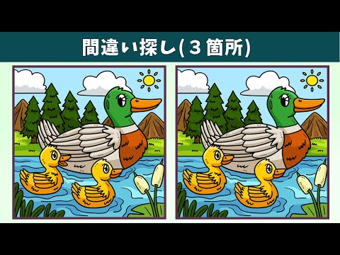 Видео: Найдите 3 отличия | Иллюстрация Версия #1181