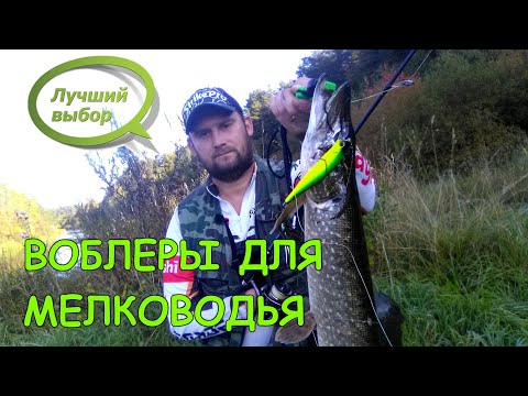 Видео: Воблеры для мелководья