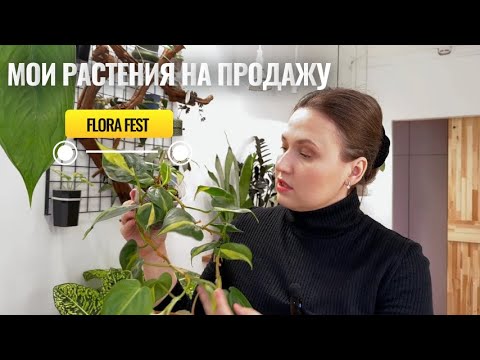 Видео: Мои растения для фестиваля Flora Fest