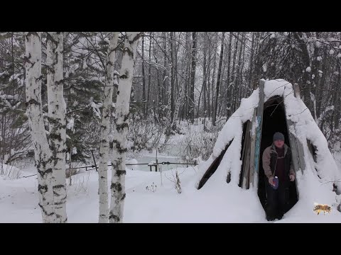 Видео: Пасека на связи