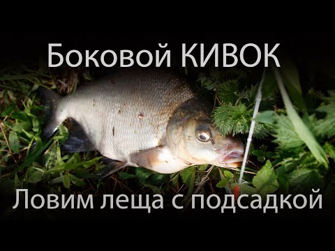 Видео: Боковой кивок - летняя мормышка | Ловим леща с подсадкой | Поклевки