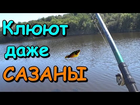 Видео: Тактика суперТОЧНОГО МИКРОдокармливания по холодной и тёплой воде. Рыбалка на поплавок карась/карп.