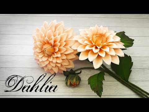 Видео: Dahlia /Георгин