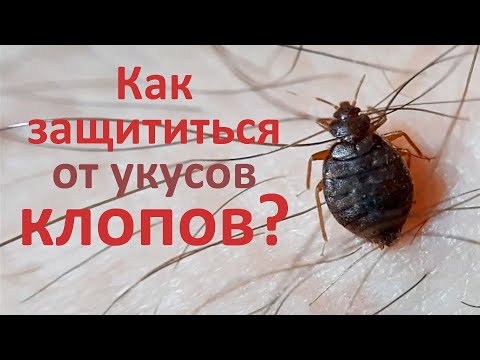 Видео: Как защититься от клопов во время сна?