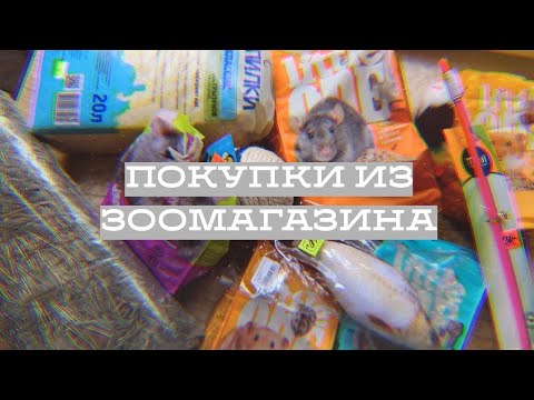 Видео: ПОКУПКИ ИЗ ЗООМАГАЗИНА / КАК СЭКОНОМИТЬ В ЗОО?